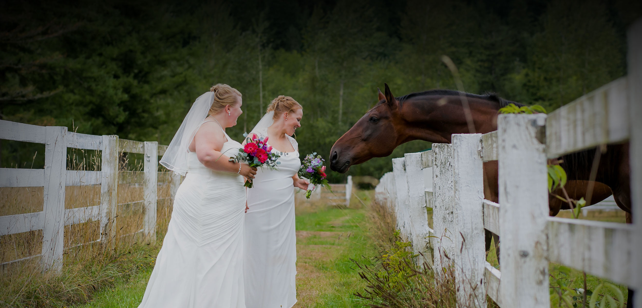 Brides with horse